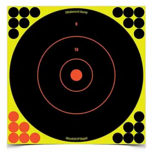 SNC 31cm Round Target